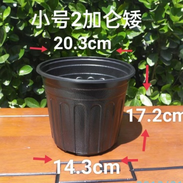 2加仑花盆