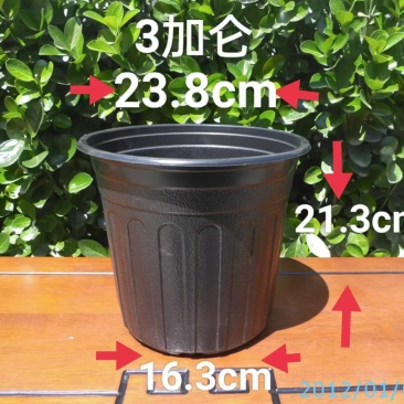 3加仑花盆