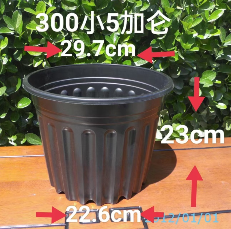 5加仑花盆