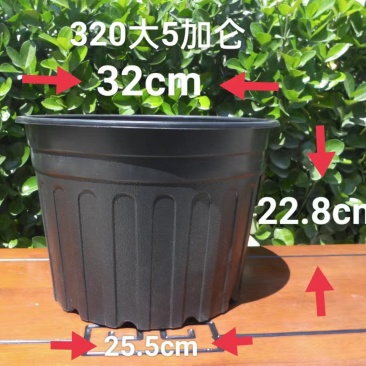 5加仑花盆