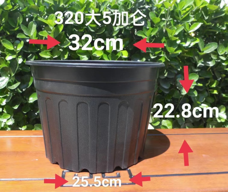 5加仑花盆