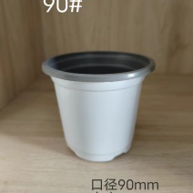 白色花盆