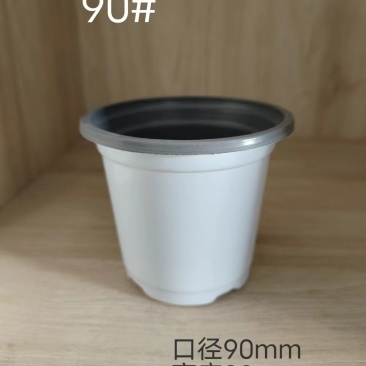 白色花盆