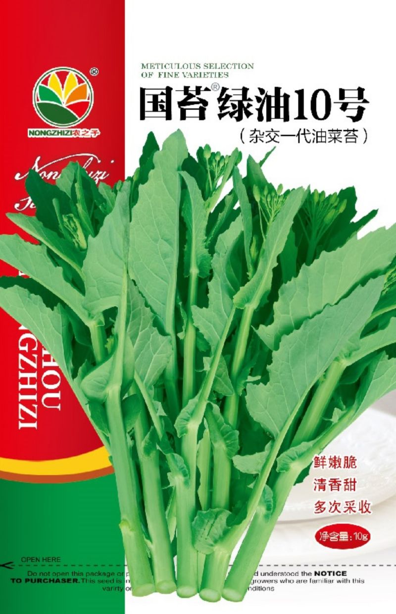 国苔绿油菜苔种子板蓝根绿早熟白菜苔杂交春夏秋播种冬菜种籽