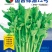 国苔绿油菜苔种子板蓝根绿早熟白菜苔杂交春夏秋播种冬菜种籽