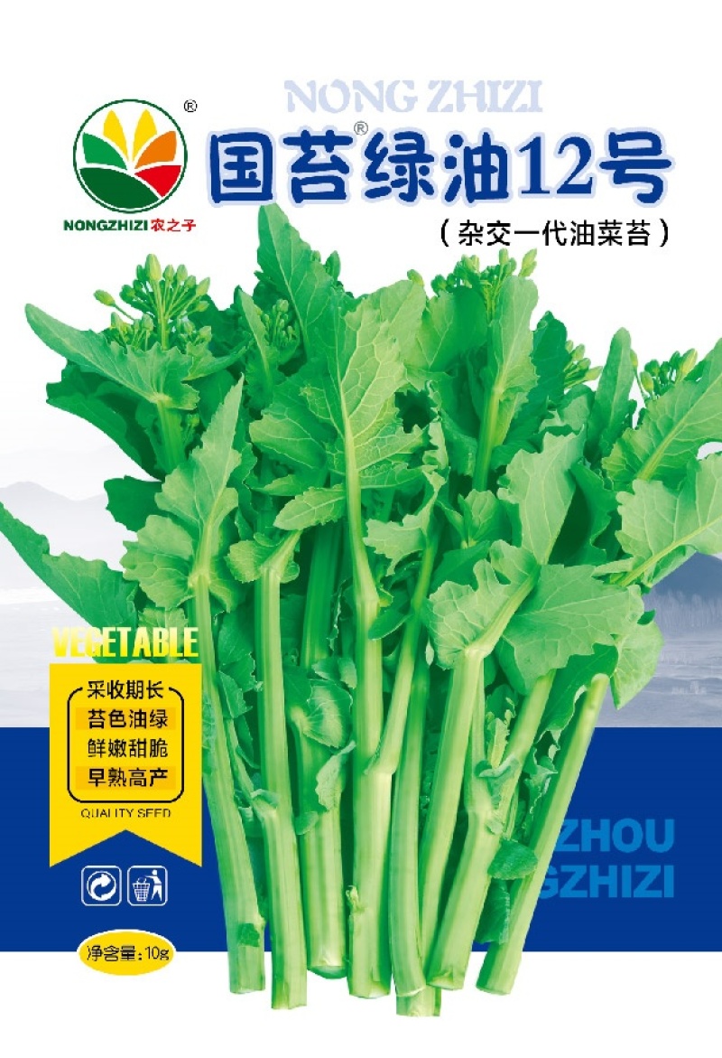 国苔绿油菜苔种子板蓝根绿早熟白菜苔杂交春夏秋播种冬菜种籽