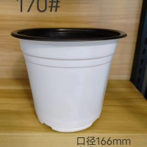 白色花盆材质工艺保障选用PP/pe..........