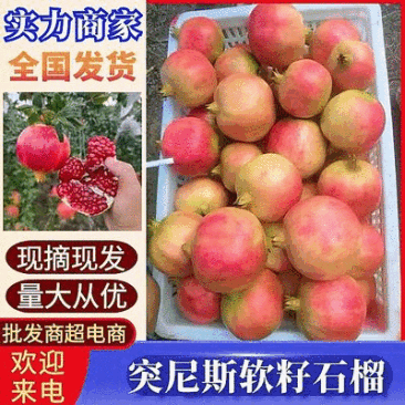 突尼斯软籽石榴/四川会理/产地直发/量大从优/一条龙服务