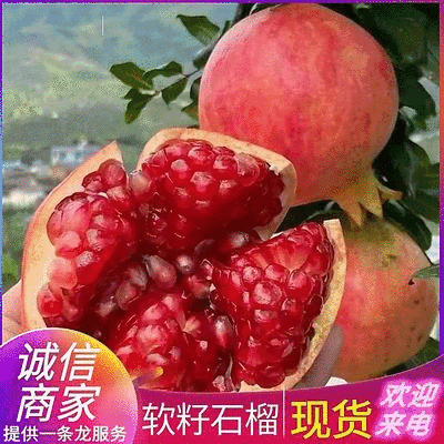 软籽石榴/四川会理/突尼斯系列/批发市场～商超～电商平台