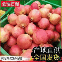 会理石榴/四川大凉山/软籽红肉/产地现摘现发/量大从优