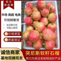 《现摘现发》会理石榴/产地直发/量大从优/欢迎来电洽谈