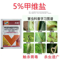 5%甲维盐阿维菌素苯甲酸盐蔬菜果树甜菜夜蛾旱地贪夜蛾小菜