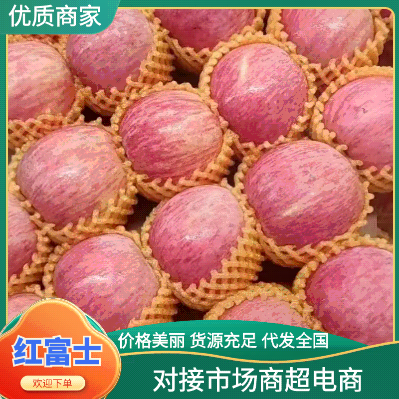 苹果山东红富士苹果对接商超电商外贸出口市场批发零售