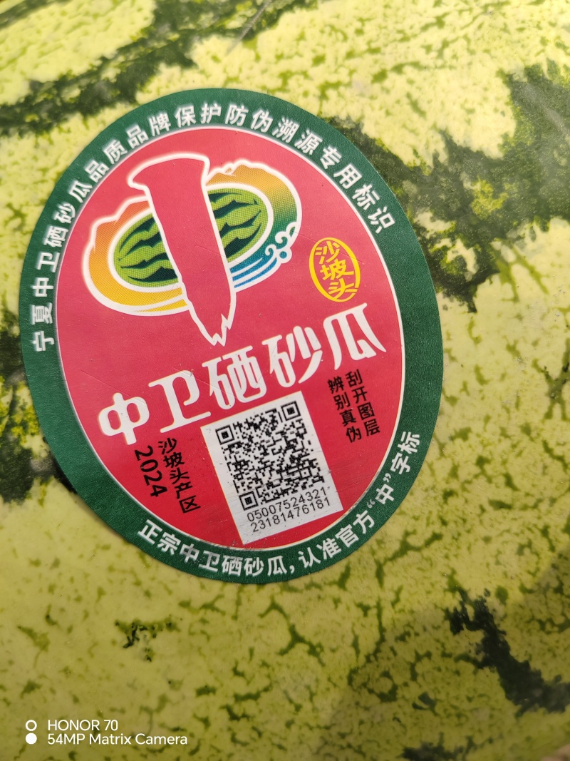 宁夏中卫硒砂瓜清甜可口量大从优新鲜上市正在热卖价格美丽
