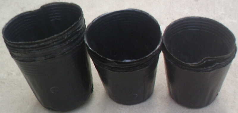 营养钵40/40材质工艺保障选用PP/pe......