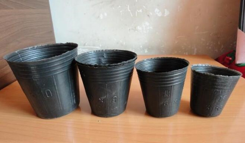 营养钵36/30材质工艺保障选用PP/pe......