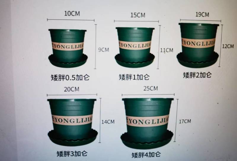 加仑盆