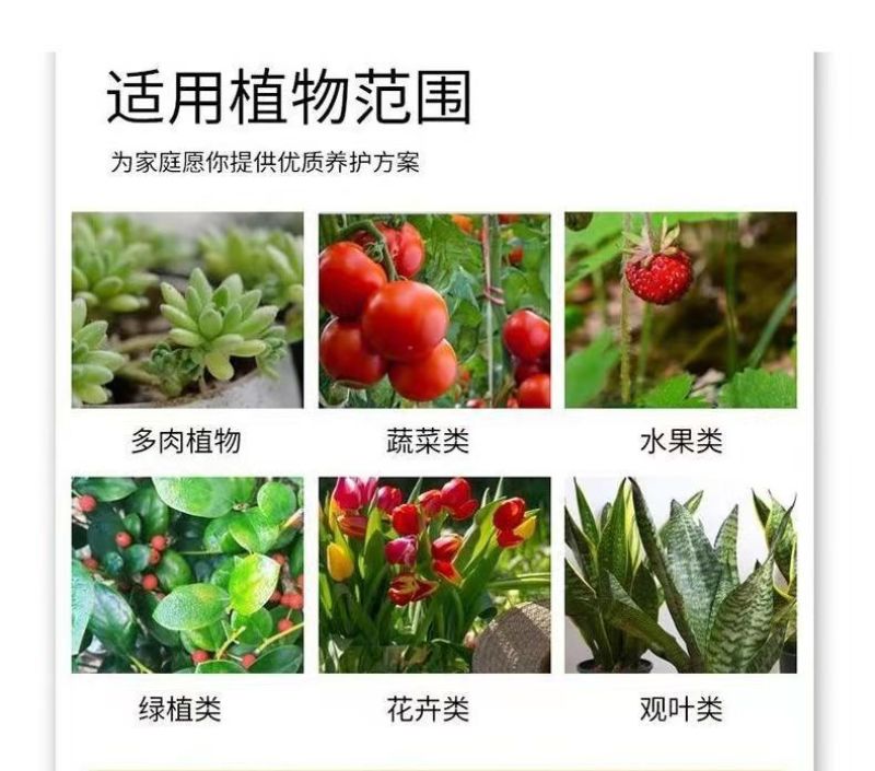 方盘种植盘育苗盘