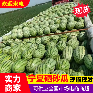 【实力】硒砂瓜石头瓜产地直供品质保障对接全国市场