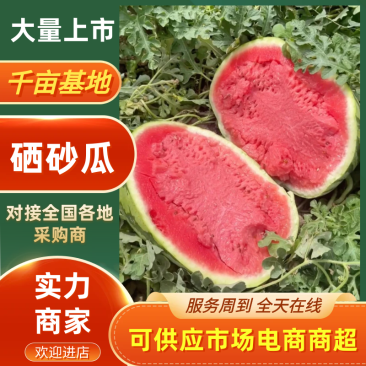 硒砂瓜金城五号西瓜产地直发包熟包甜品质好耐运输
