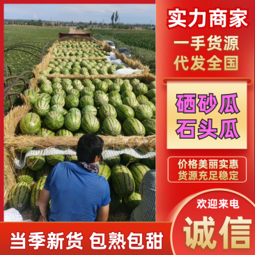 西瓜宁夏硒砂瓜石头瓜金城五号金花六号质量保证