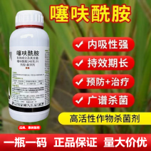 噻呋酰胺植物水稻纹枯病杀菌剂蔬菜花卉菜地农用通用老牌杀菌