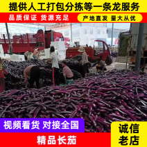 红河建水长茄承接加工批发进出口社区团购直播带货电商商超