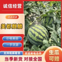 南通启东地区无籽美都大量供应