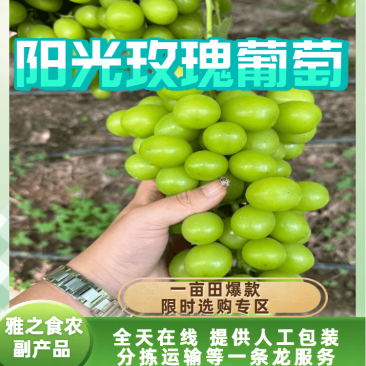 【热卖】四川凉山精品阳光玫瑰葡萄产地直发货源充惠顺丰