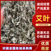 艾叶大艾叶大艾叶一公斤起发量大从优常年走货