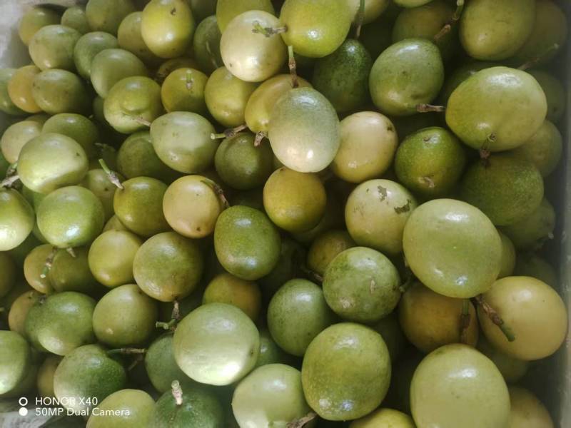 钦蜜9号百香果，产地直发，品质保证，价格优惠，实力商家