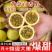 钦蜜9号百香果，产地直发，品质保证，价格优惠，实力商家