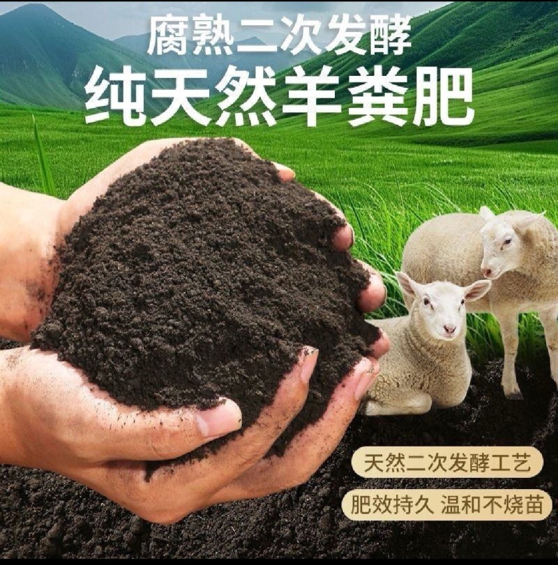 河北保定生物有机肥纯羊粪，厂家直发，可检测有需可电话