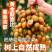 2025广东鸡心黄皮鲜果电商一件代发奶茶店进货商超批发