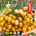 2025广东鸡心黄皮鲜果电商一件代发奶茶店进货商超批发