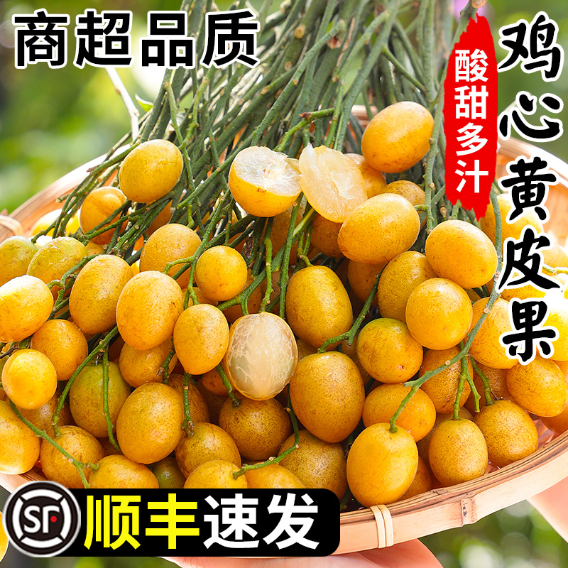 2025广东鸡心黄皮鲜果电商一件代发奶茶店进货商超批发