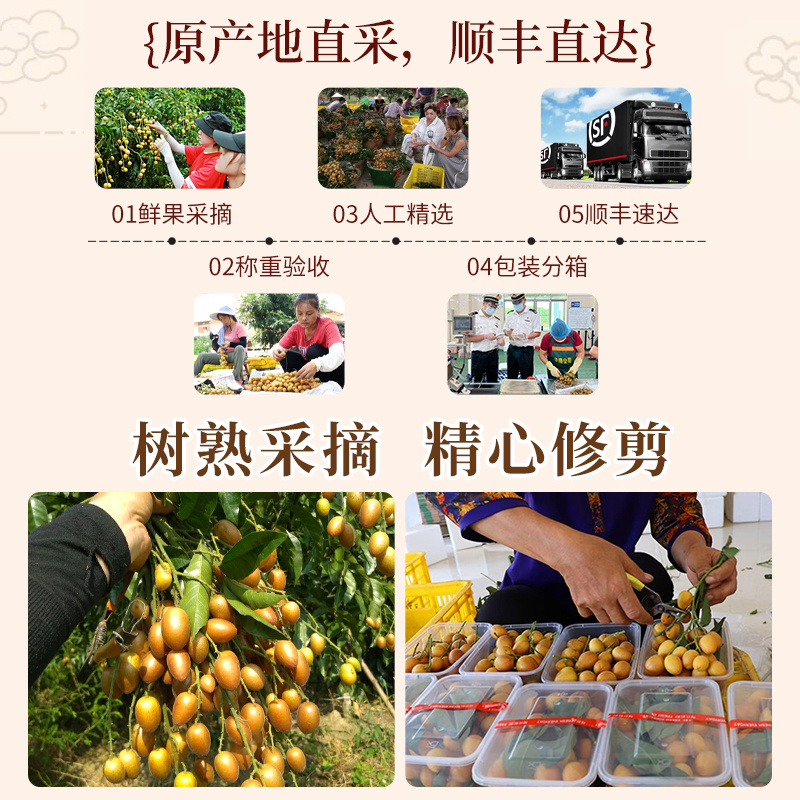 2025广东鸡心黄皮鲜果电商一件代发奶茶店进货商超批发