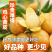 2025广东无核黄皮果鲜果电商一件代发奶茶店进货商超批发