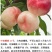 中油蟠桃12号白肉油蟠桃6月上旬成熟风味脆甜后期