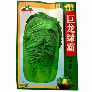 巨龙绿霸大白菜种子20g抗病强抱头紧青麻叶油绿新三号