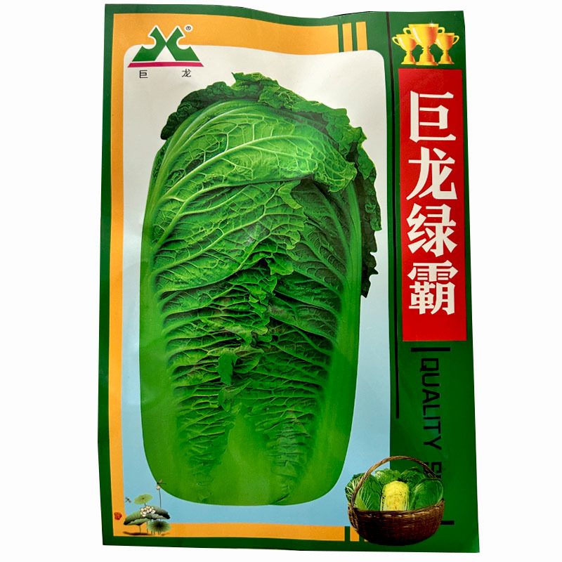 巨龙绿霸大白菜种子20g抗病强抱头紧青麻叶油绿新三号