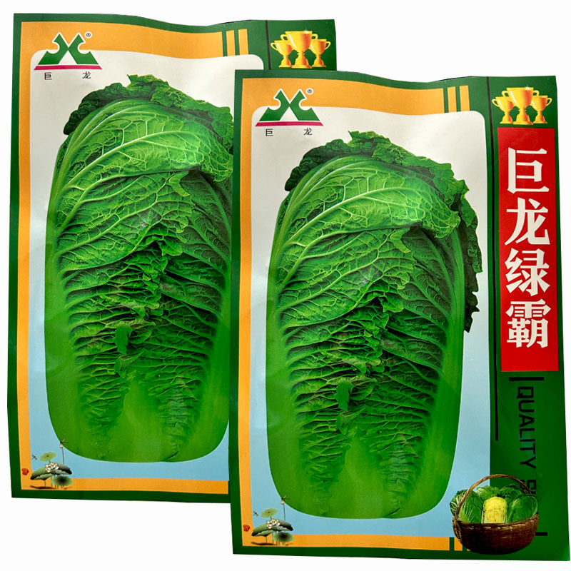 巨龙绿霸大白菜种子20g抗病强抱头紧青麻叶油绿新三号