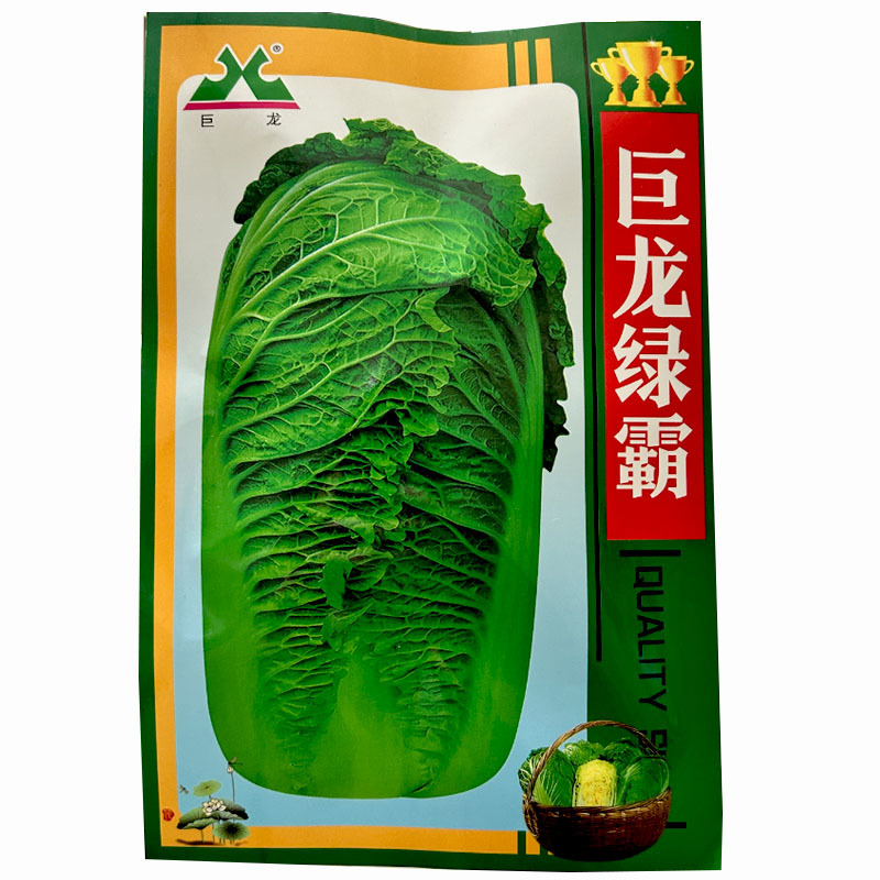 巨龙绿霸大白菜种子20g抗病强抱头紧青麻叶油绿新三号