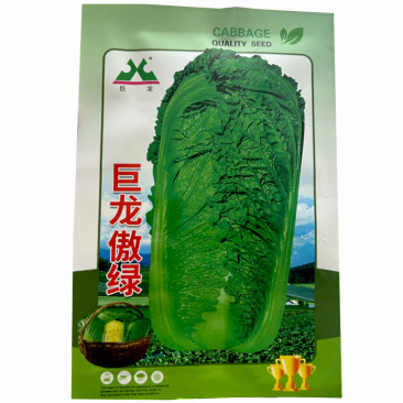 傲绿白菜种子叶深绿心叶黄色10g抗病简叠抱型70天