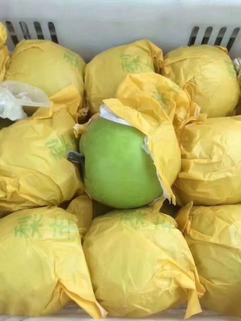 翠玉梨，砀山直发，价格可谈，欢迎联系，保质保量