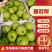 皇冠梨，青黄冠白皇冠，砀山产区，对接全国各地批发市场电商