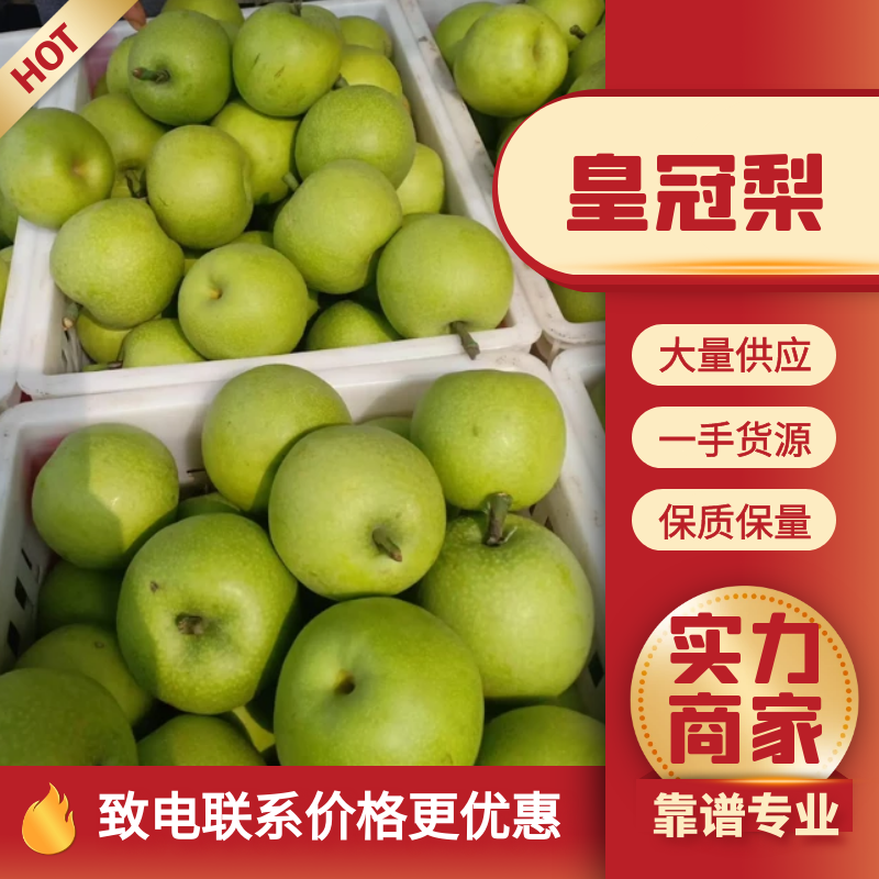 皇冠梨，青黄冠白皇冠，砀山产区，对接全国各地批发市场电商