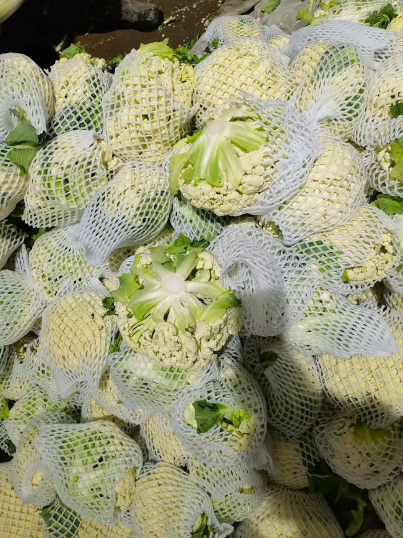 花菜，对接批发市场，档口，价格可谈，质量保证，诚信经营