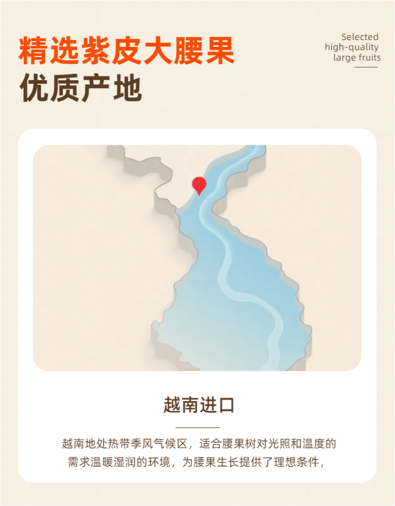 A170大颗饱满】紫皮腰果休闲零食坚果炒货紫皮腰果