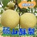 砀山酥梨，全国发货，现货现摘，批发价，会员稳定，可议价